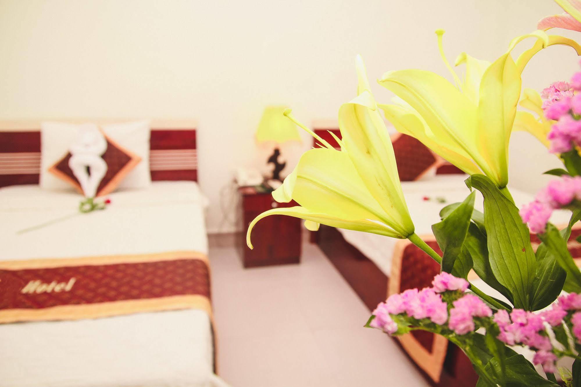 Vivyanne Hotel Дананг Экстерьер фото